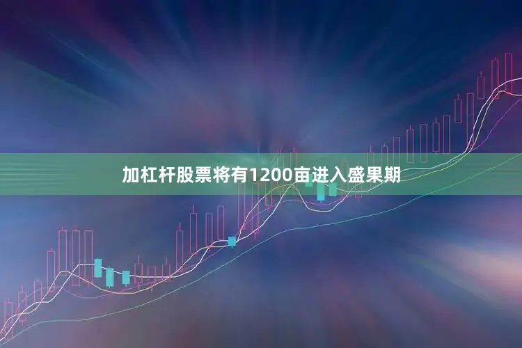 加杠杆股票将有1200亩进入盛果期