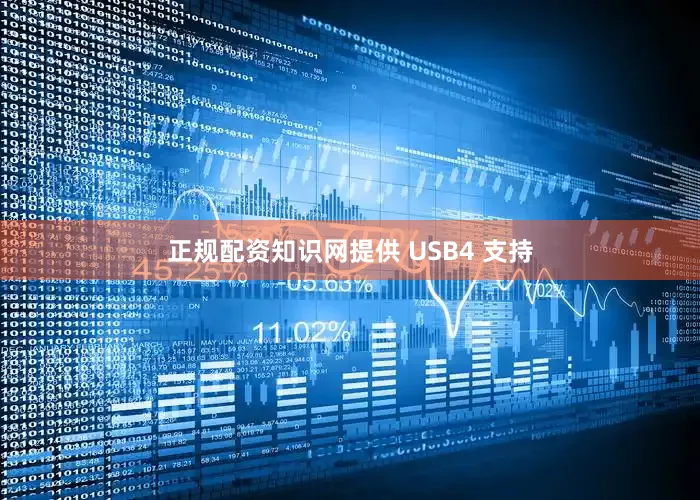 正规配资知识网提供 USB4 支持