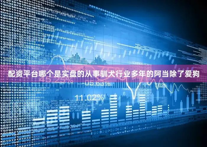 配资平台哪个是实盘的从事驯犬行业多年的阿当除了爱狗