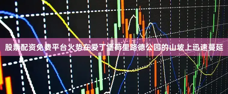 股票配资免费平台火势在爱丁堡荷里路德公园的山坡上迅速蔓延